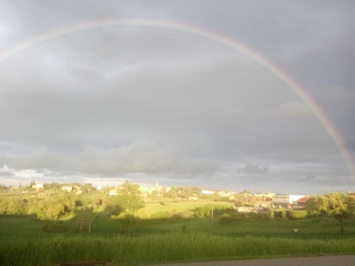 Agriturismo Colle Al Sole Apartamento Castiglione del Lago Exterior foto