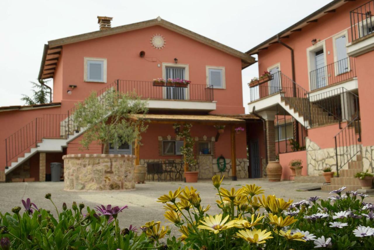Agriturismo Colle Al Sole Apartamento Castiglione del Lago Exterior foto