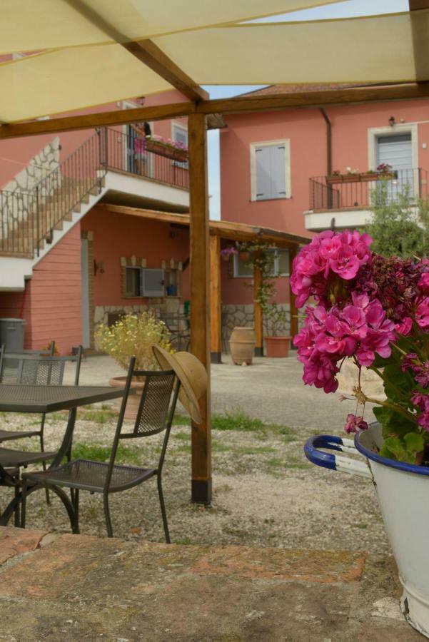 Agriturismo Colle Al Sole Apartamento Castiglione del Lago Exterior foto